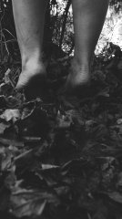 IMG_1659.JPG